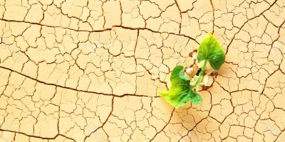 ilfac_cop22_debat_citoyen