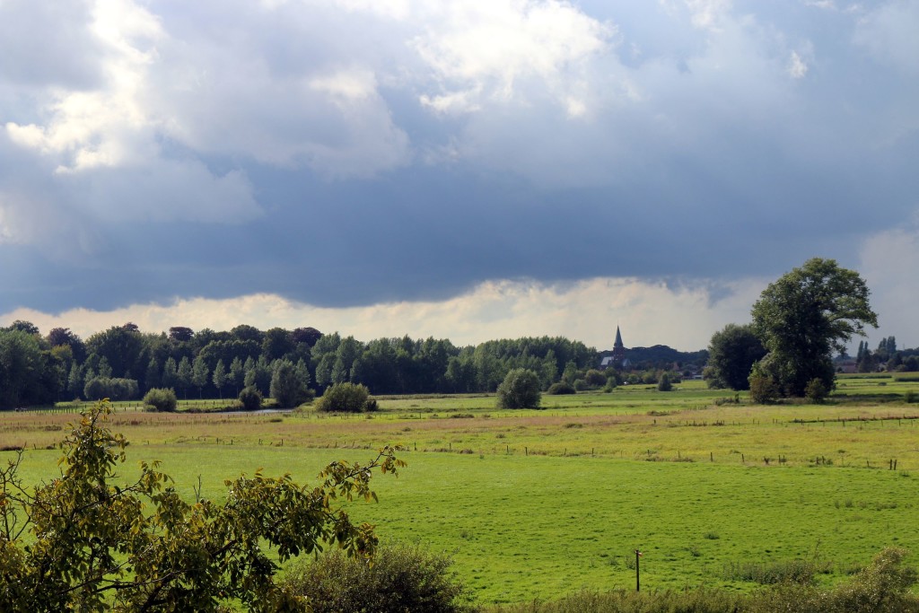 Sint-Martens-Latem-Nature-Summer-2014