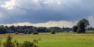 Sint-Martens-Latem-Nature-Summer-2014